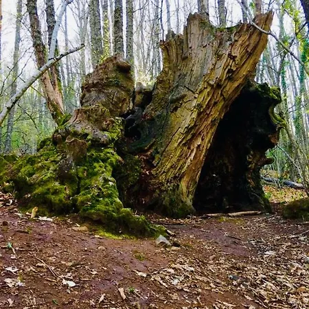 El Comercio Sierra De Francia * San Miguel de Valero