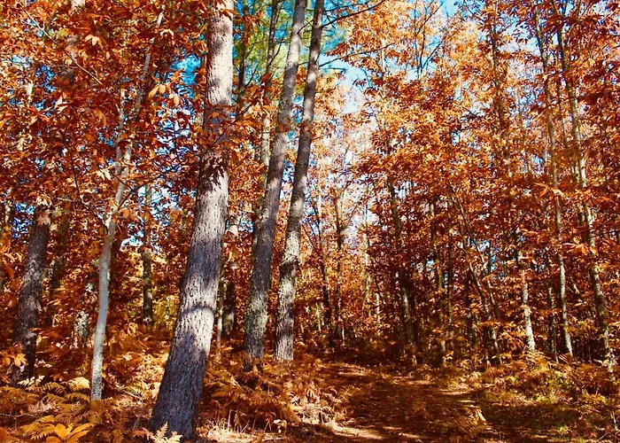 El Comercio Sierra De Francia 산미구엘데발레로